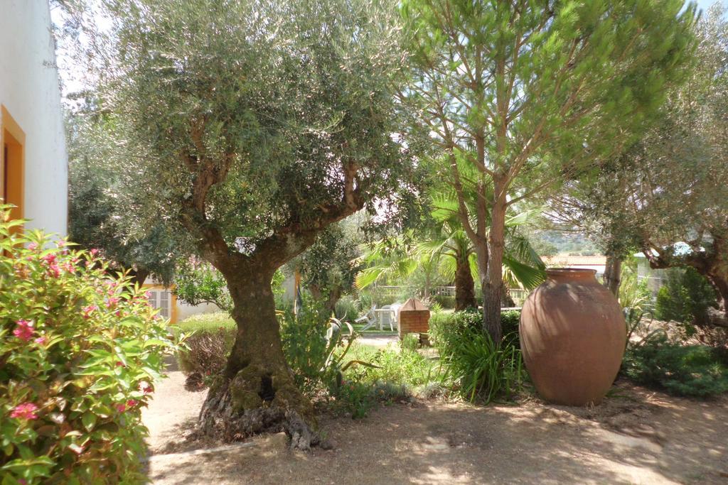 Quinta Do Pinhal Villa Constancia Ngoại thất bức ảnh